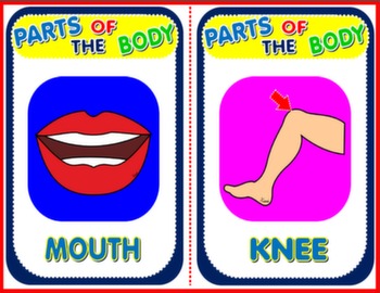 PARTS OF THE BODY FLASHCARDS