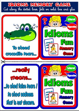 IDIOMS MEMORY GAME (2 OF 30 CARDS)
