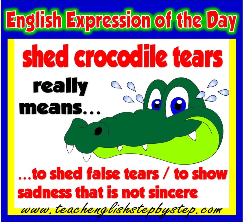 SHED CROCODILE TEARS