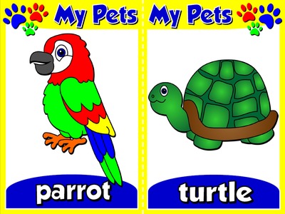 My Pets - Set of 10 Flashcards