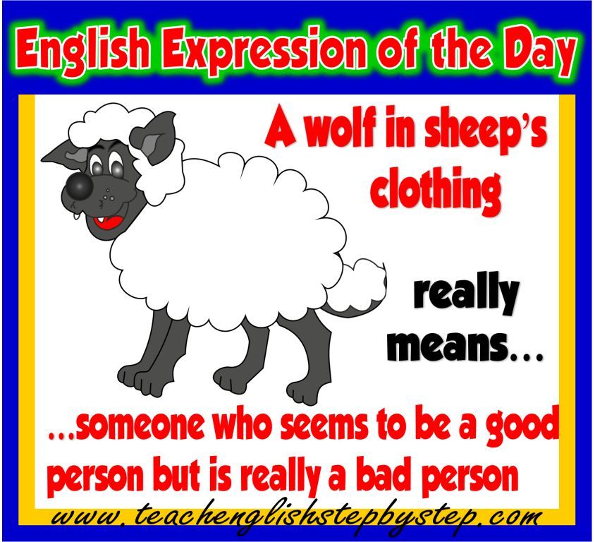Wolf In Sheeps Clothing Idiom Sentence