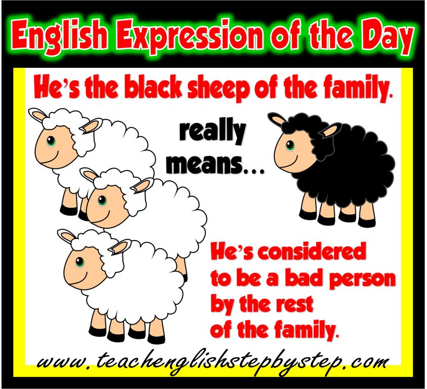 THE BLACK SHEEP OF THE FAMILY