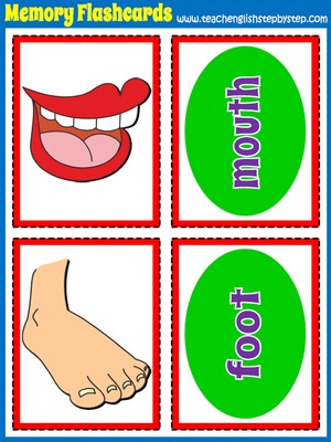 Body - Memory Game  Flashcards (word/word)