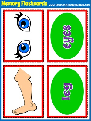 Body - Memory Game  Flashcards (picture/word)