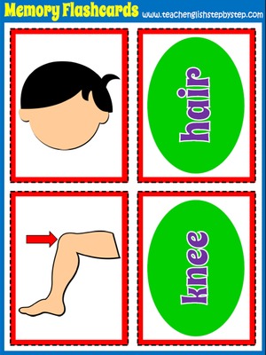 Body - Memory Game  Flashcards (picture/word)