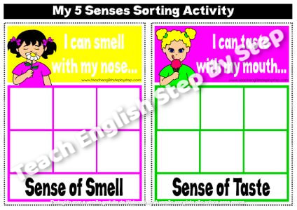 MY 5 SENSES - SORTING ACTIVITY