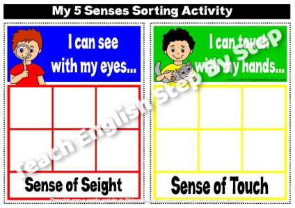 MY 5 SENSES - SORTING ACTIVITY